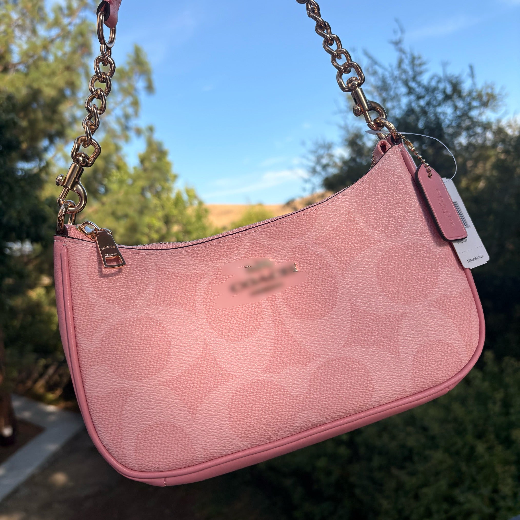 Cute Pink Bag(Pre-Order)