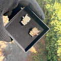 HK Gun Earrings